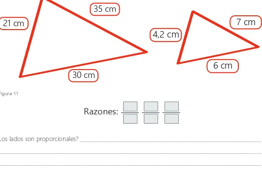 Figura 11