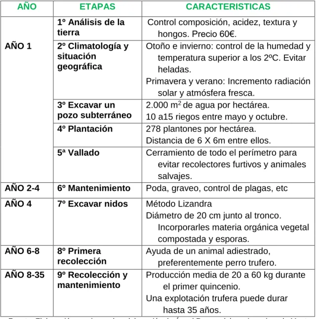 Tabla 5.3.1.1: Pasos para el plan de producción 