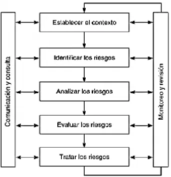 Gráfico 11 