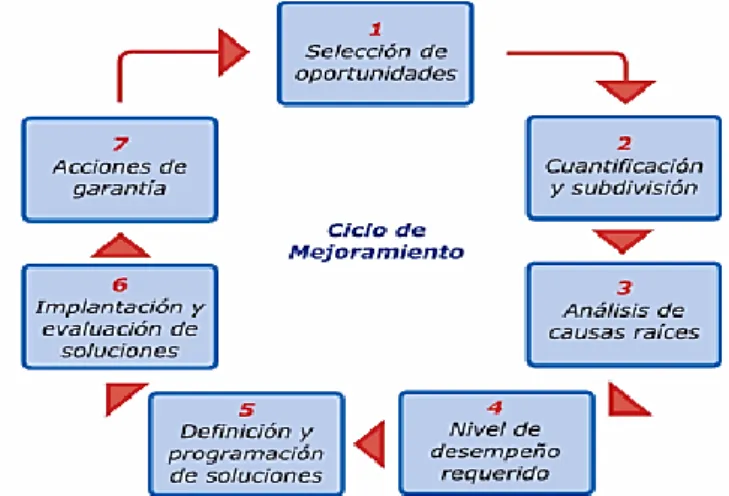 Gráfico 19 