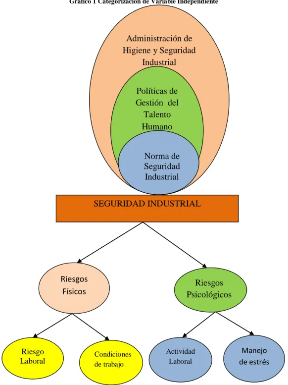 Gráfico 1 Categorización de Variable Independiente 