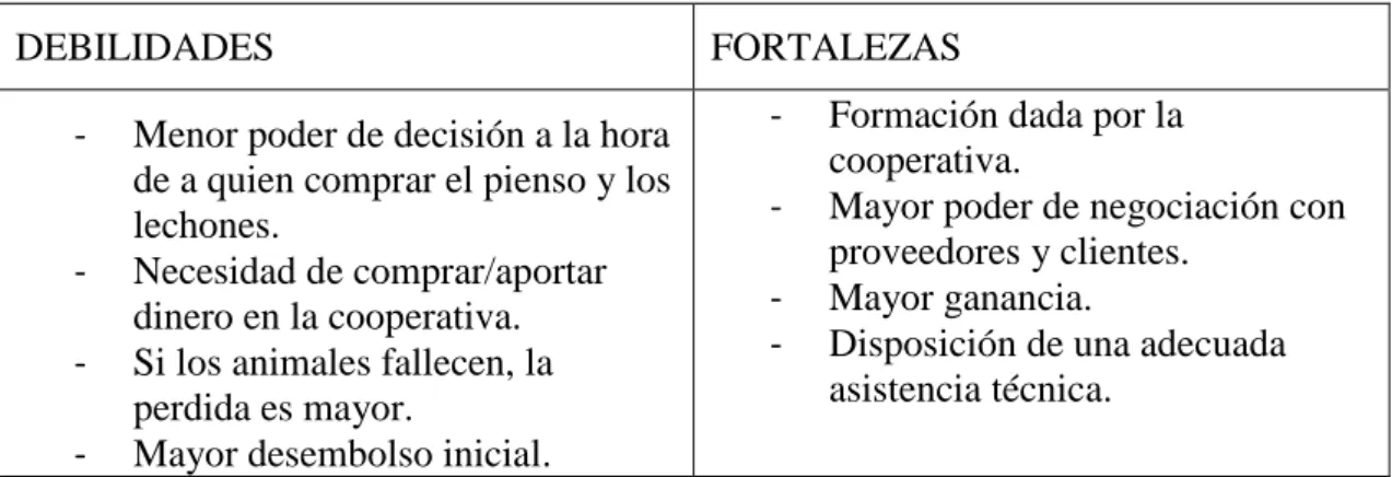 TABLA 2.4. DEBILIDADES Y FORTALEZAS EXPLOTACIÓN EN COOPERATIVA 