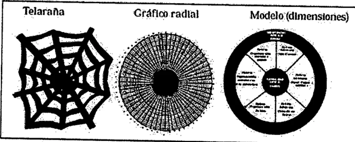 Figura Nro. 4  Método de la Telaraña 