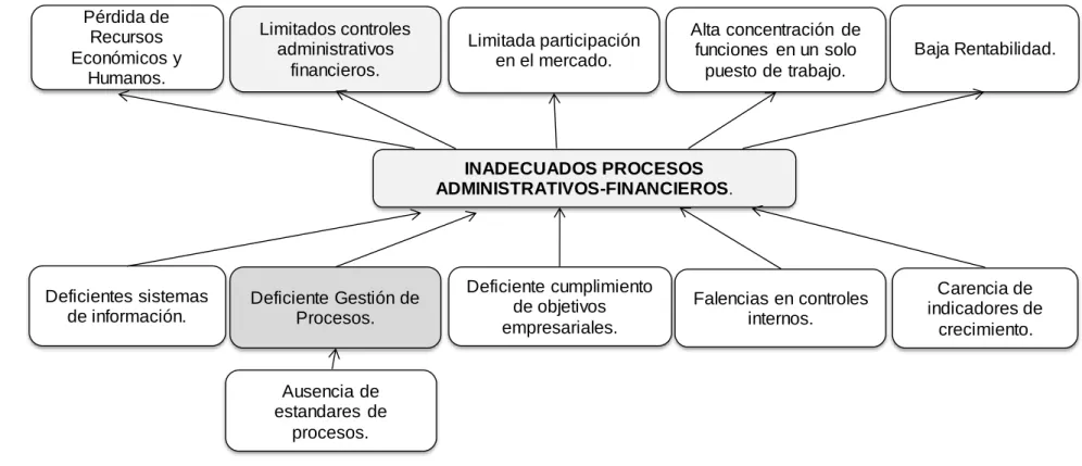 Gráfico N°1  Árbol de Problemas