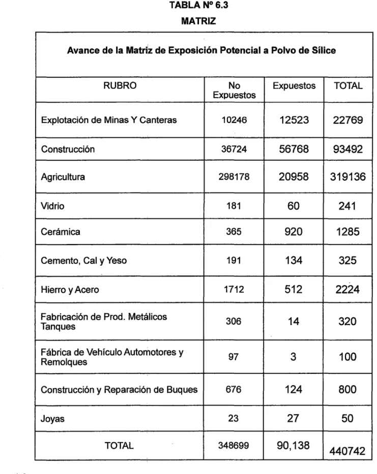 TABLA N°6.3  MATRIZ 
