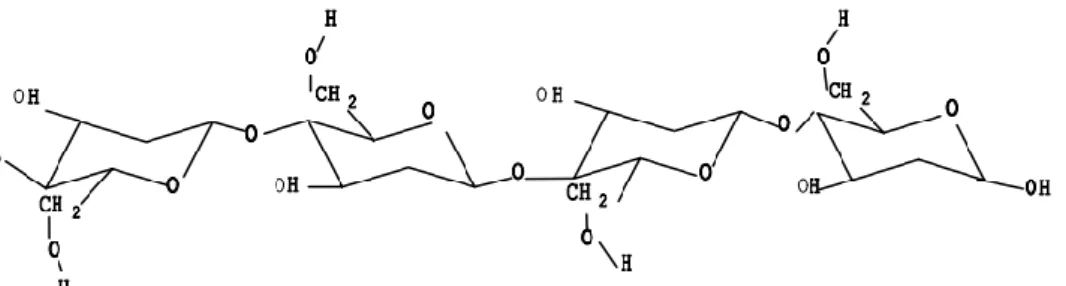 Figura 3: Estructura de la cadena de celulosa (4). 