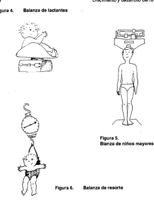 Figura 4. 