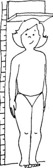 Figura 8. 