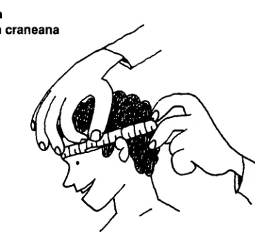 Figura 9. 