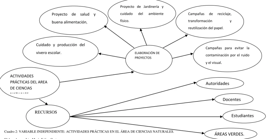 Cuadro 2: VARIABLE INDEPENDIENTE: ACTIVIDADES PRÁCTICAS EN EL ÁREA DE CIENCIAS NATURALES.