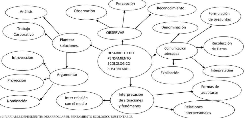 Cuadro 3: VARIABLE DEPENDIENTE: DESARROLLAR EL PENSAMIENTO ECOLÓGICO SUSTENTABLE.