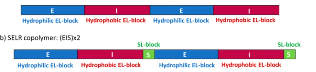 Figure 1. Schematic diagram showing the diﬀerent domains of the recombinamers (EI)x2 and (EIS)x2.