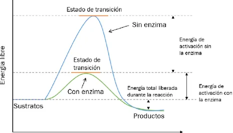 Figura 22. Esquema de reacción de la energía libre  empleada por un sensor con enzima y sin ella