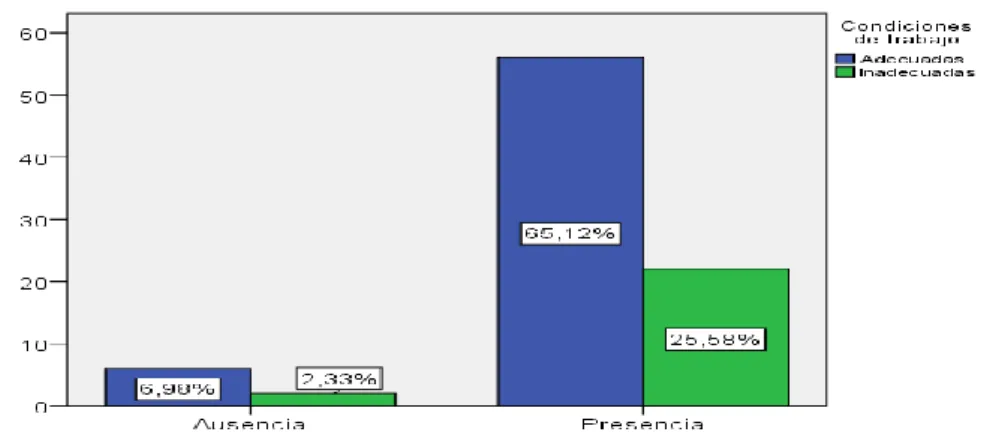 GRÁFICO N°  5.3 