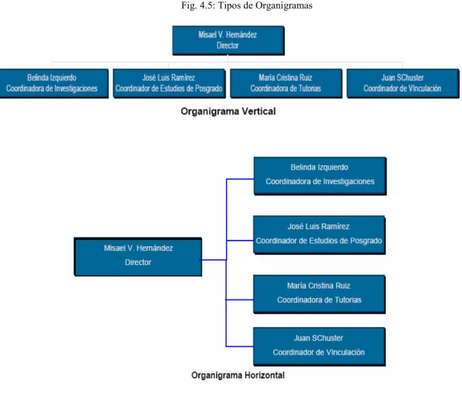 Fig. 4.5: Tipos de Organigramas 