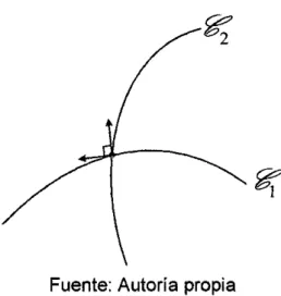 Figura 1.2: Curvas Ortogonales 