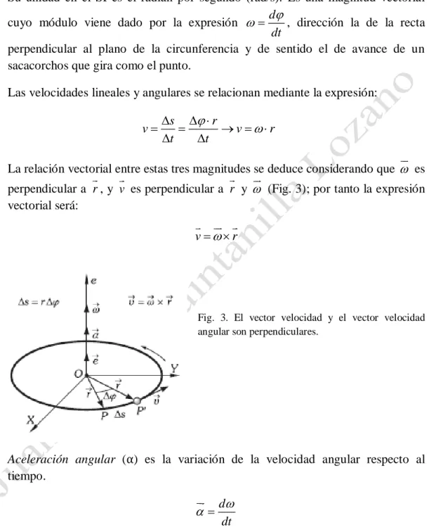 Fig.  3.  El  vector  velocidad  y  el  vector  velocidad  angular son perpendiculares