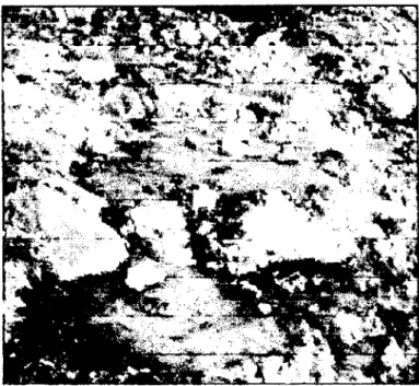 Fig.  5 Aguas ácidas generadas en  una escombrera. 