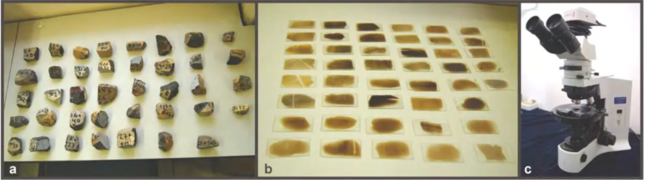 Figura 9. a) Algunas muestras de mano de ambas localidades, b) Láminas delgadas para  análisis  de  microfacies e  identificación  taxonómica,  c)  Microscópio  petrográfico  utilizado  para  la  caracterización  de  las  láminas  delgadas  e  identificaci
