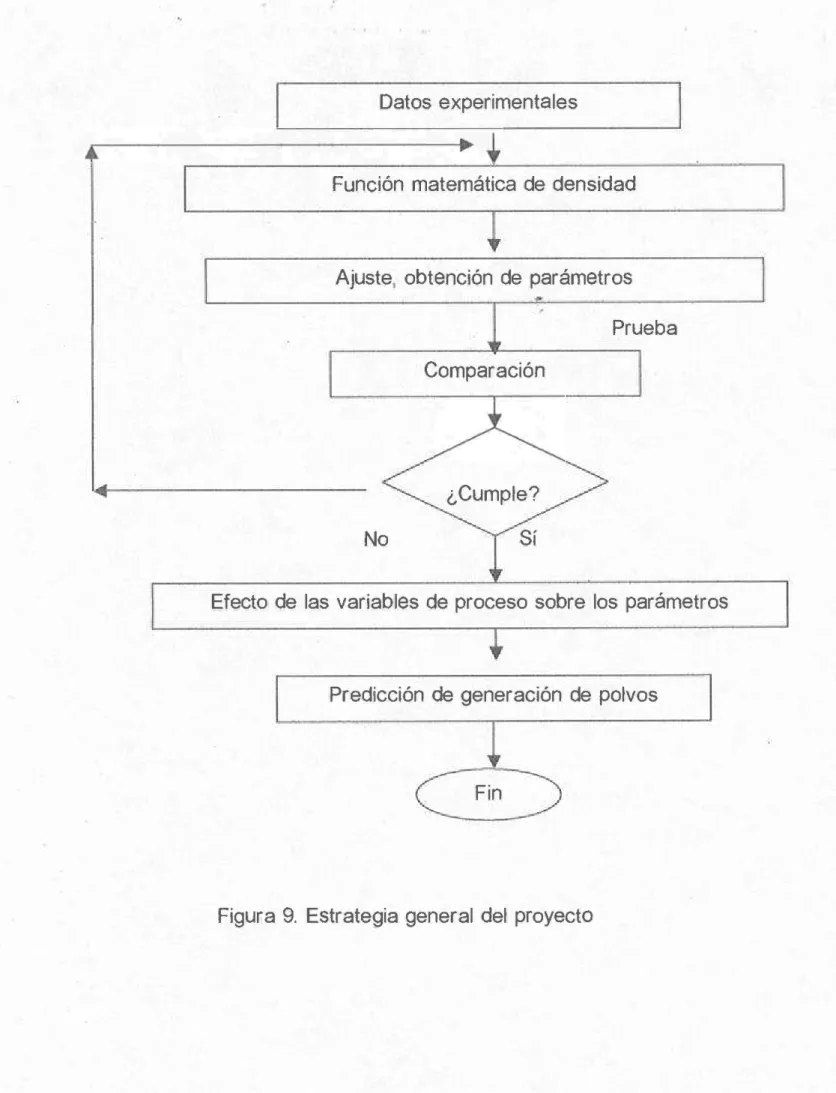 Figura 9.  Estrategia  general  del  proyecto 