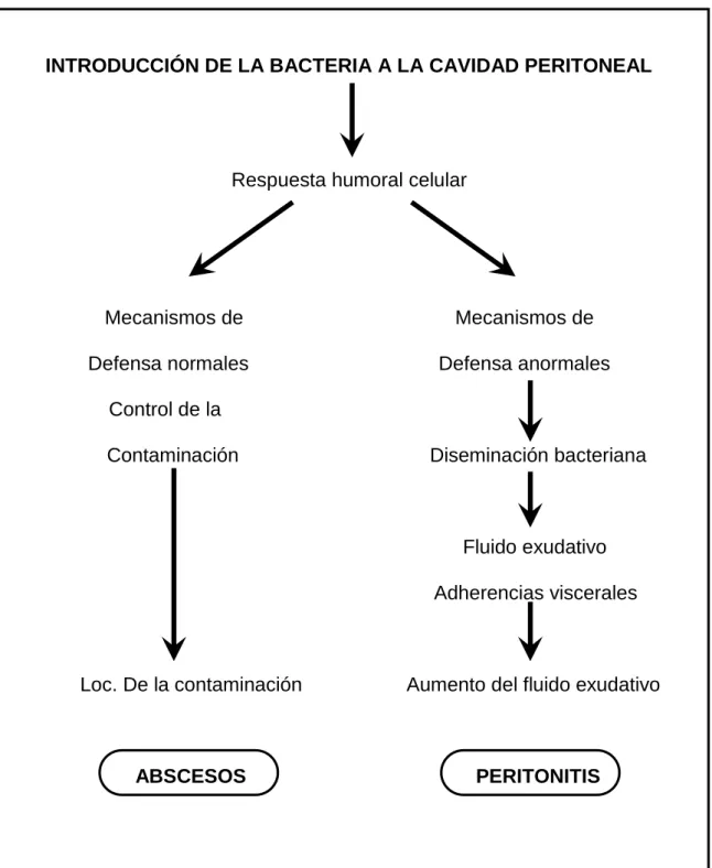 Tabla 1. Infección intraabdominal. 