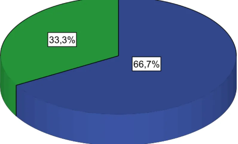 Gráfico 27: Responsables de los procesos y funciones dentro de la organización 