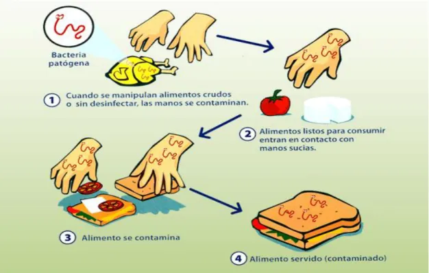 Figura  2.  Esquema  de  Contaminación  Directa. 