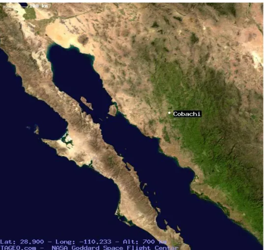 Figura  4.    Mapa  de  Localización  de  Cobachi  en  el  Estado  de  Sonora. 