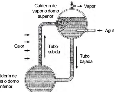 figura  3  el  agua  de  alimentación  fría  se  introduce  en  el  calderín  de  vapor  y  desciende por el tubo de bajada hasta el calderín de lodos, debido a que tiene una  den�idad superior a la del agua caliente