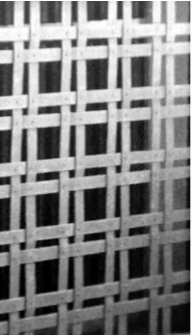 fig. 6. Rejas como tejidos
