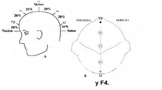 Fig. 3.5. A. Vista de perfil.  B.  Vista superior.  Situación de los electrodos F3 