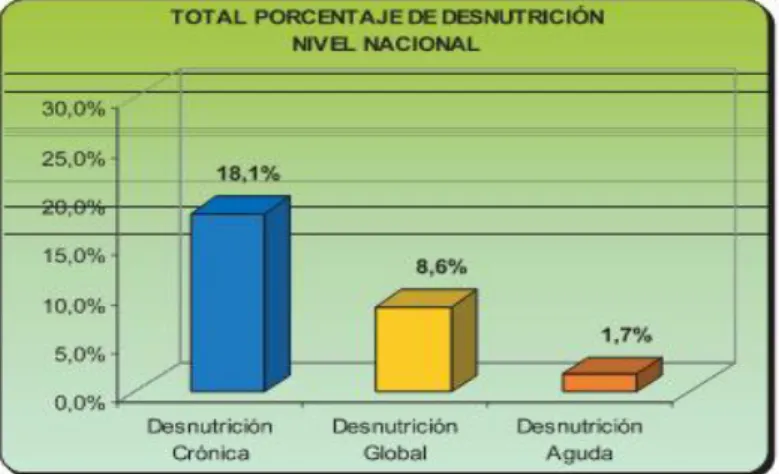 Gráfico 12 