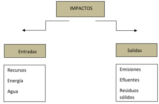 Cuadro 6. Impactos 