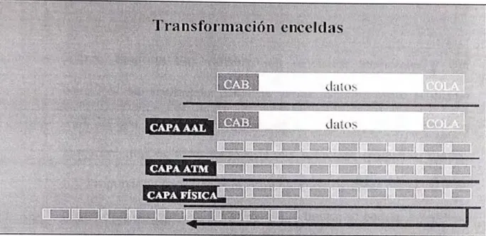 Fig. 2.8 Transformación en celdas ATM. 