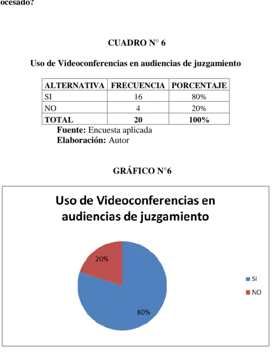 GRÁFICO N°6 