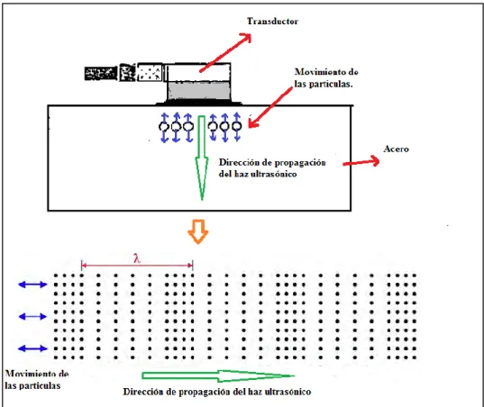 Figura 1.2: Las ondas longitudinales. 