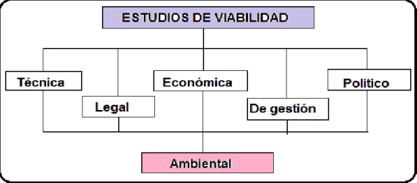 Gráfico 1. Clasificación de los estudios de factibilidad 