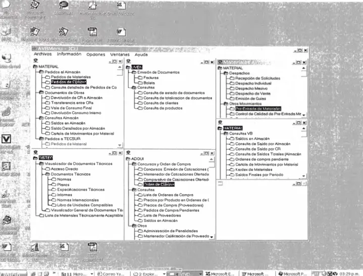 Fig. N º  4.10:  Sistema de Consultas Tecsur 