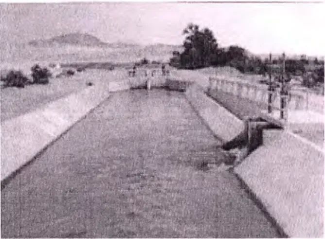 Fig. 1.3 Canal de Chinecas 