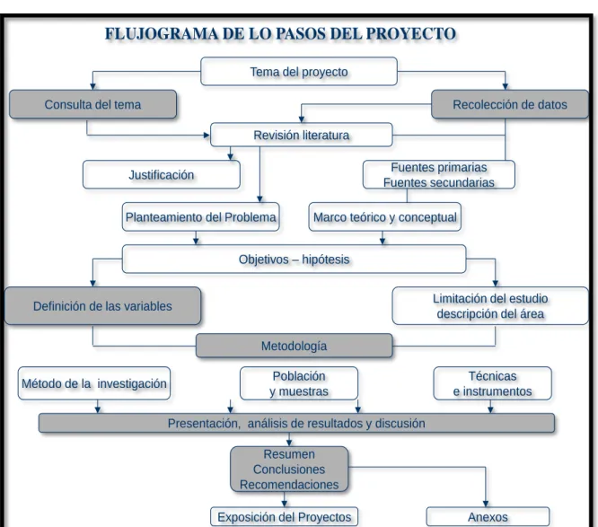 Figura Nº 09: Flujograma de los pasos del proyecto.