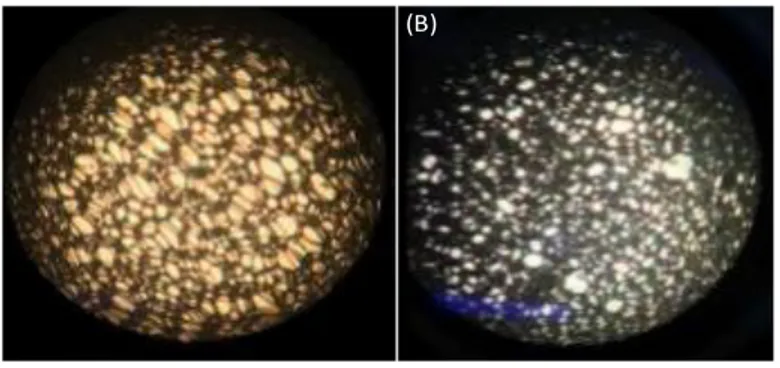 Figura  3:  Imagem   das  EPU  obtidas  por  microscopia  eletrônica   com  resolução  de  aumento de 40x