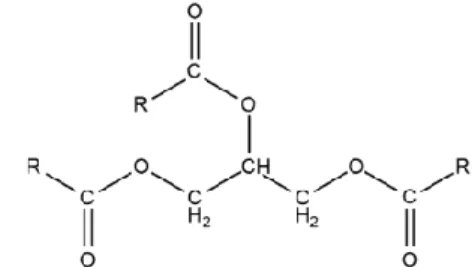 Figura 2. Exemplo de glicerídeos, representando os lipídios.  Fonte: Elaborado pelos autores (AMABIS; MARTHO, 2010).