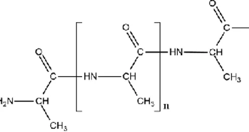Figura 3. Exemplo de ligação peptídica entre três aminoácidos, representando as proteínas