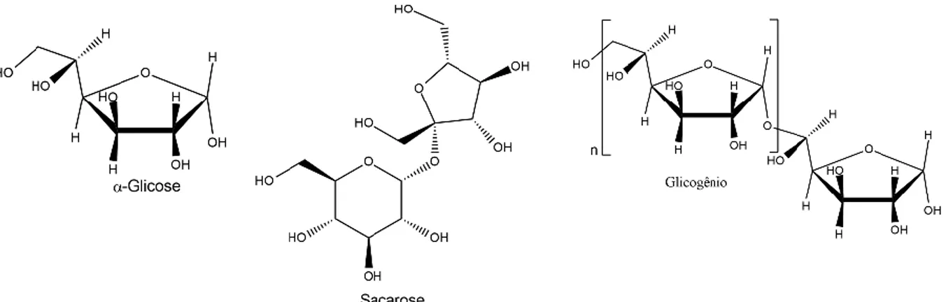 Figura 4. Fórmula estrutural da glicose, sacarose e glicogênio, representando respectivamente os  monossacarídeos, dissacarídeos e polissacarídeos