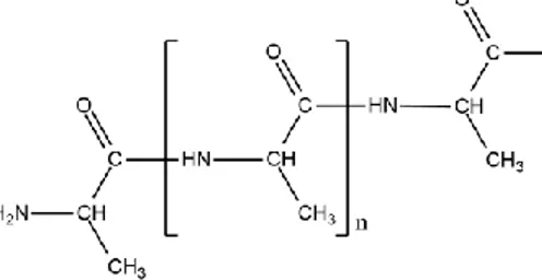 Figura 6. Exemplo de ligação  peptídica  entre  três aminoácidos,  representando  as proteínas