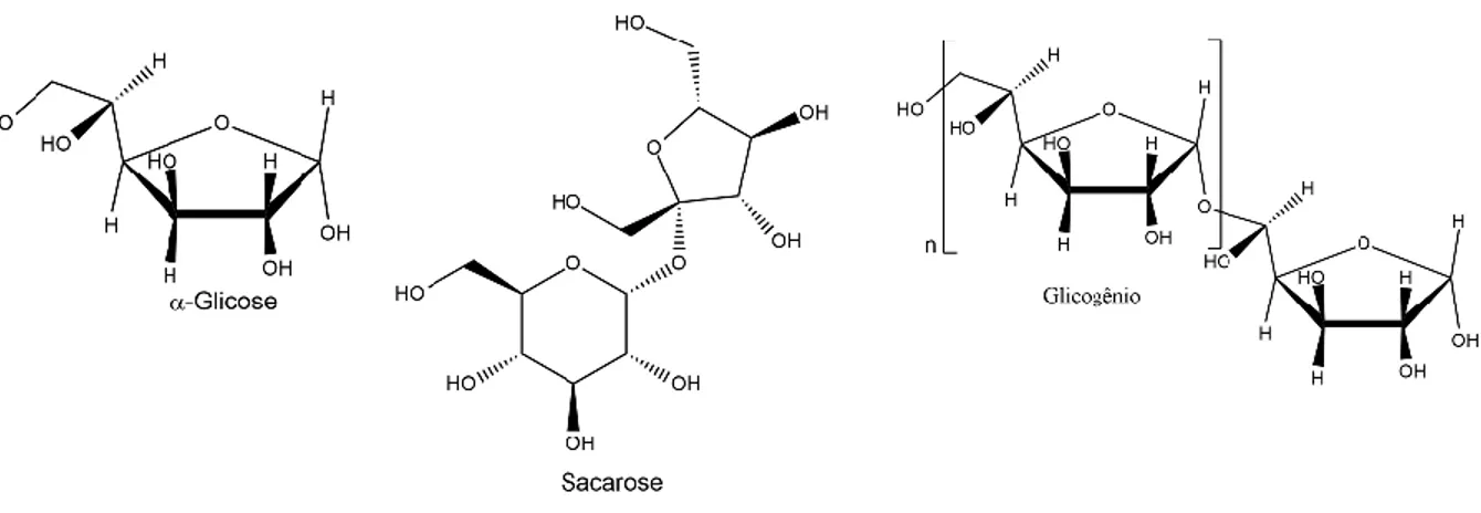 Figura 7. Fórmula  estrutural  da  glicose, sacarose  e glicogênio,  representando  respectivamente  os  monossacarídeos,  dissacarídeos  e polissacarídeos