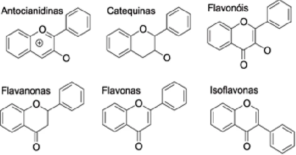 Figura 8 - Estrutura dos principais tipos de flavonoides.