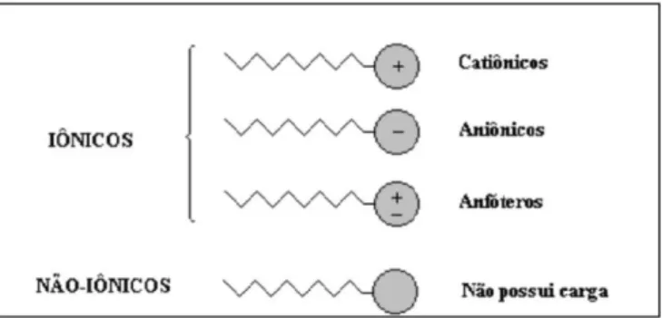 Figura 4: Representação da molécula do tensoativo, de acordo com a carga apresentada pela sua  porção polar