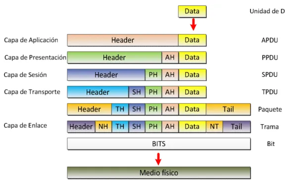 Gráfico 2. 2: Tipos de capas