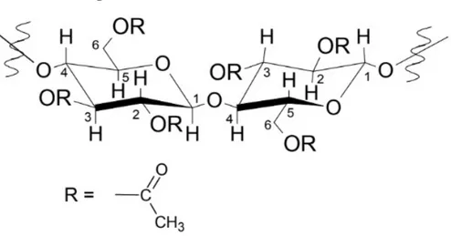 Figura 5: Estrutura do acetato de celulose. 